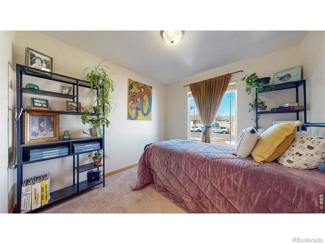 3351 Firewater Lane, Wellington, CO 80549