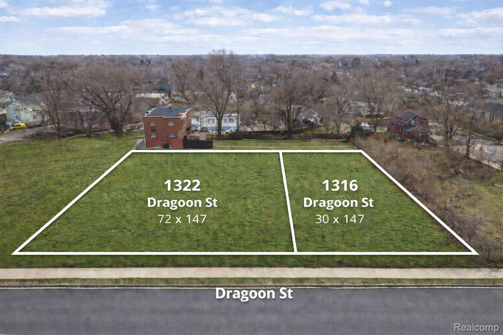 1316 Dragoon Street, Detroit, MI 48209