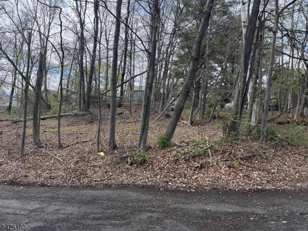 3 Neptune Rd, West Milford Twp., NJ 07421 — photo 2