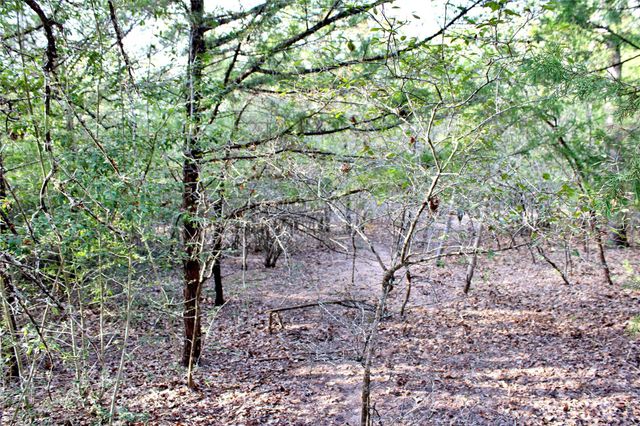 192 Plum Acres Lane, West Point, TX 78963