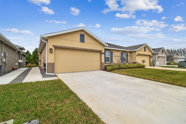 18053 TURNING LEAF CIRCLE, Land O Lakes, FL 34638