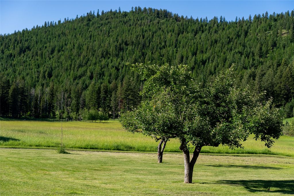 1675 Haywire Gulch, Kalispell, MT 59901 photo 27