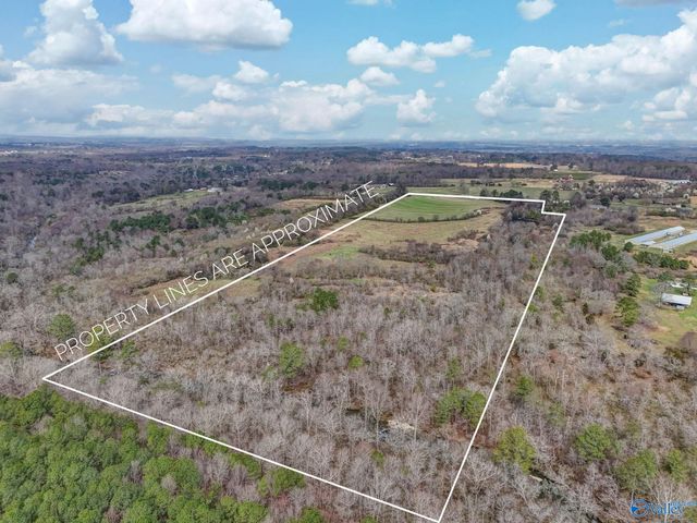 1368 Davis Road, Albertville, AL 35951