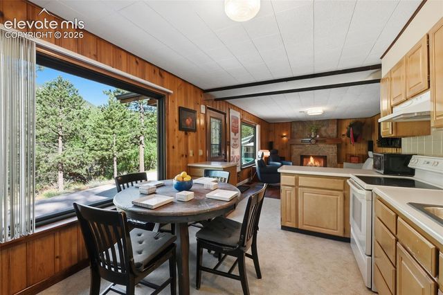 10420 El Paso Avenue, Green Mountain Falls, CO 80819