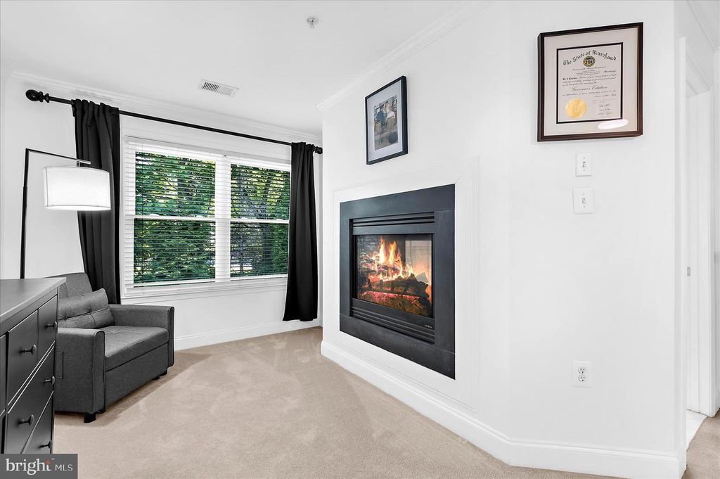 Image 42 of property listing at 9128 MARLOVE OAKS LN, Owings Mills, MD 21117