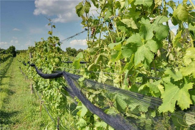 2404 Burnwether LN, Williamsburg, VA 23185