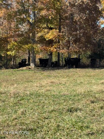 2570 Martha Washington Rd, Clarkrange, TN 38553