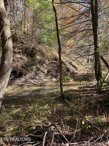 2570 Martha Washington Rd, Clarkrange, TN 38553