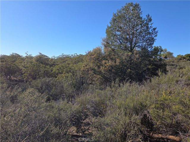 56660 Knollwood, Anza, CA 92539