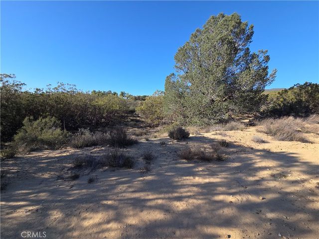 56660 Knollwood, Anza, CA 92539