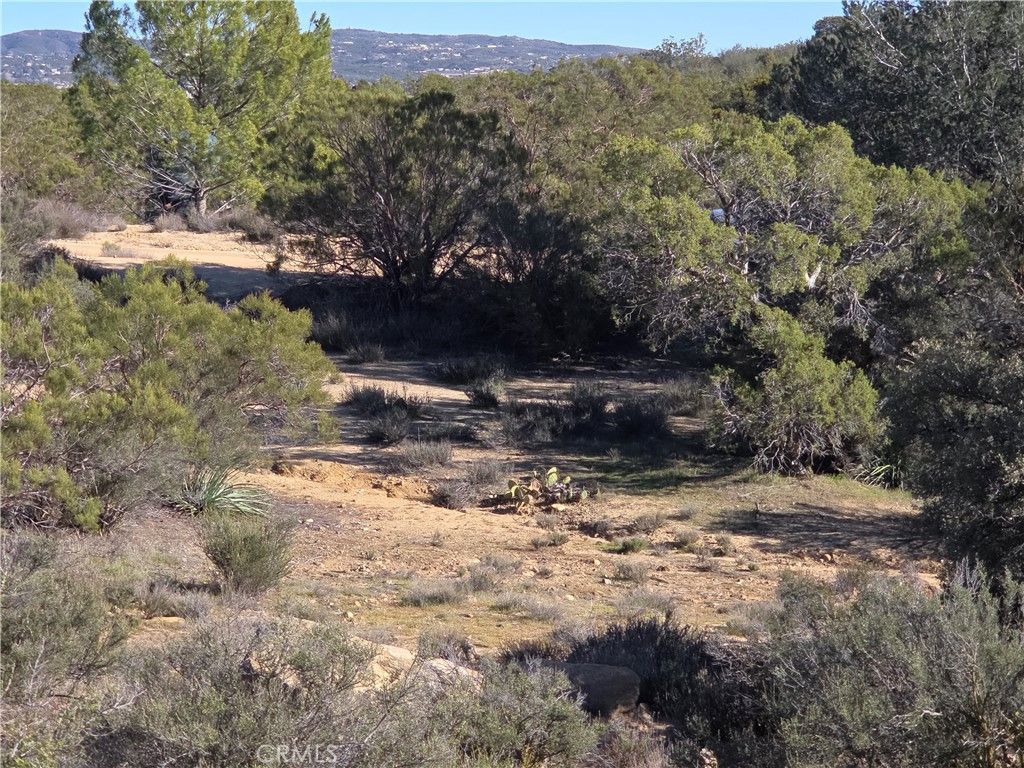 56660 Knollwood, Anza, CA 92539