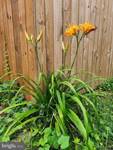 5713 PONTIAC, Berwyn Heights, MD 20740