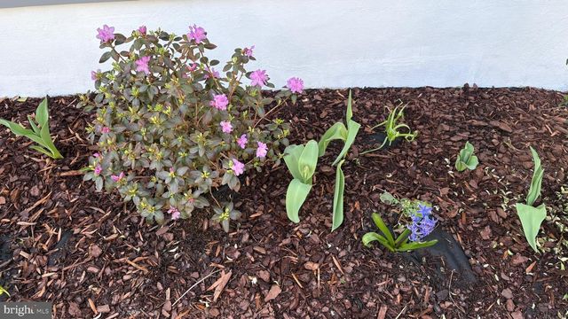 5713 PONTIAC, Berwyn Heights, MD 20740