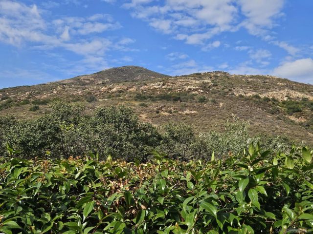 6993 Caminito Curva, San Diego, CA 92119