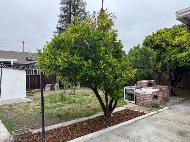 879 Birch Avenue, Sunnyvale, CA 94086