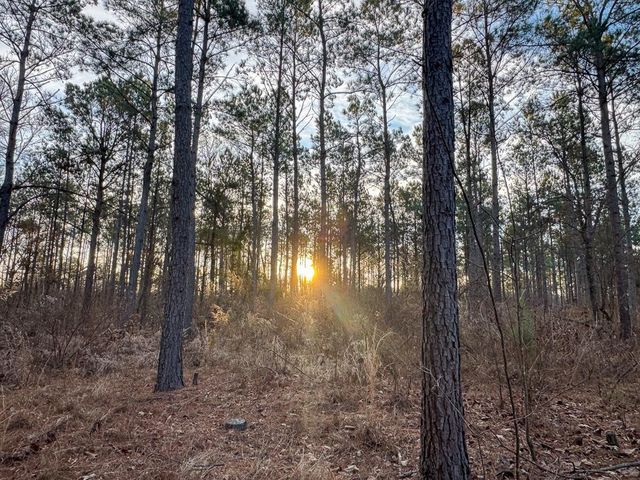 T-1 Cr 4302, De Kalb, TX 75559