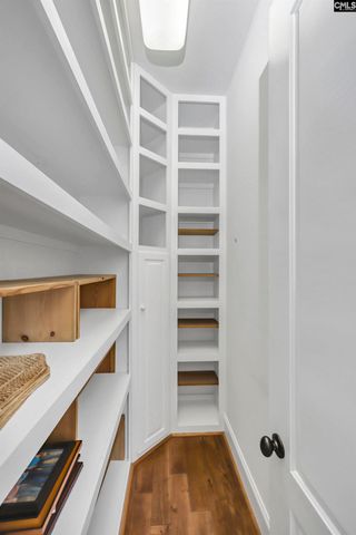 170 Summer Bay Drive, Chapin, SC 29036