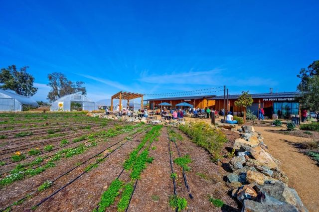 1216 Molara Ln, Encinitas, CA 92024