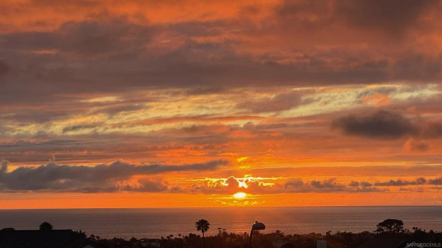 1216 Molara Ln, Encinitas, CA 92024