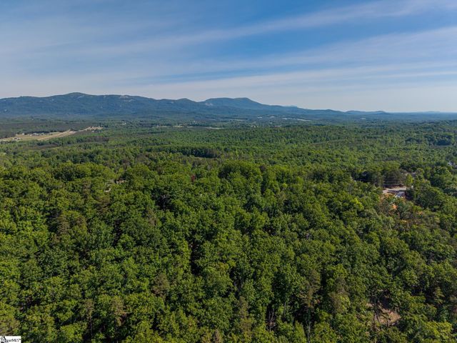 611 Packs Mountain Ridge Road, Taylors, SC 29687