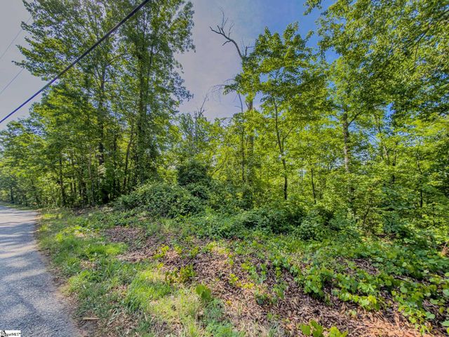 611 Packs Mountain Ridge Road, Taylors, SC 29687