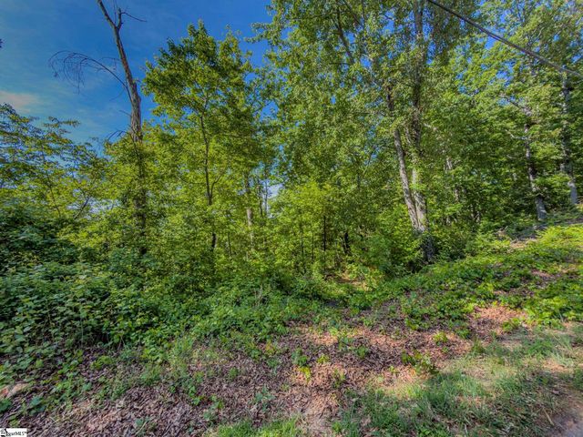 611 Packs Mountain Ridge Road, Taylors, SC 29687