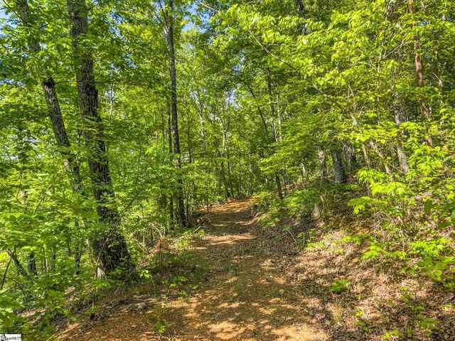 611 Packs Mountain Ridge Road, Taylors, SC 29687