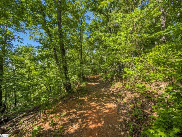 611 Packs Mountain Ridge Road, Taylors, SC 29687