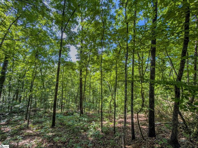 611 Packs Mountain Ridge Road, Taylors, SC 29687