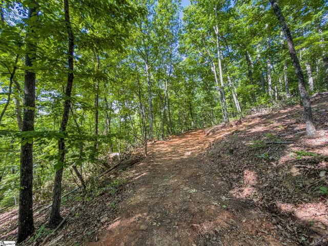 611 Packs Mountain Ridge Road, Taylors, SC 29687