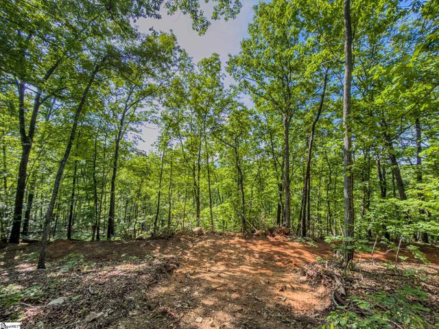 611 Packs Mountain Ridge Road, Taylors, SC 29687