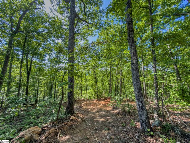611 Packs Mountain Ridge Road, Taylors, SC 29687