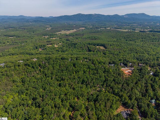 611 Packs Mountain Ridge Road, Taylors, SC 29687