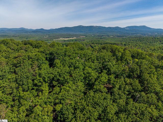 611 Packs Mountain Ridge Road, Taylors, SC 29687