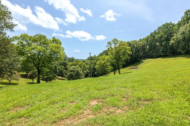 394 Young Hollow Rd, Pulaski, TN 38478