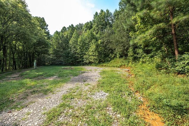 394 Young Hollow Rd, Pulaski, TN 38478