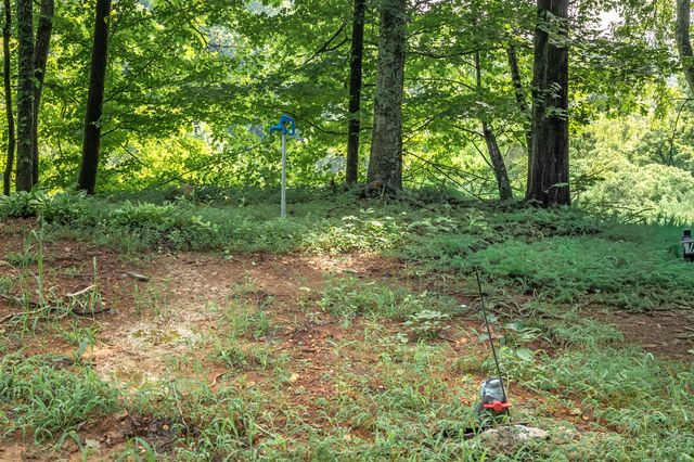 394 Young Hollow Rd, Pulaski, TN 38478