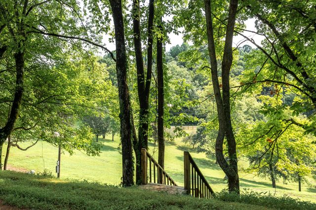 394 Young Hollow Rd, Pulaski, TN 38478