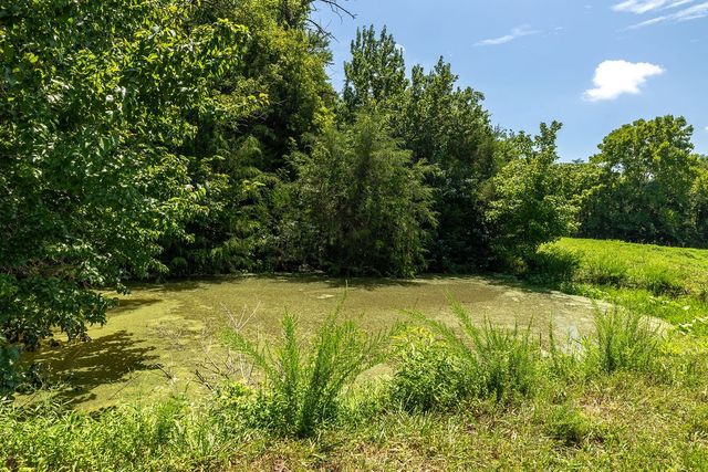394 Young Hollow Rd, Pulaski, TN 38478