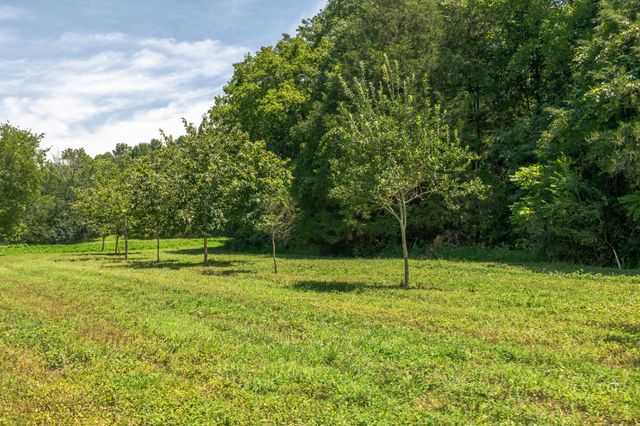 394 Young Hollow Rd, Pulaski, TN 38478