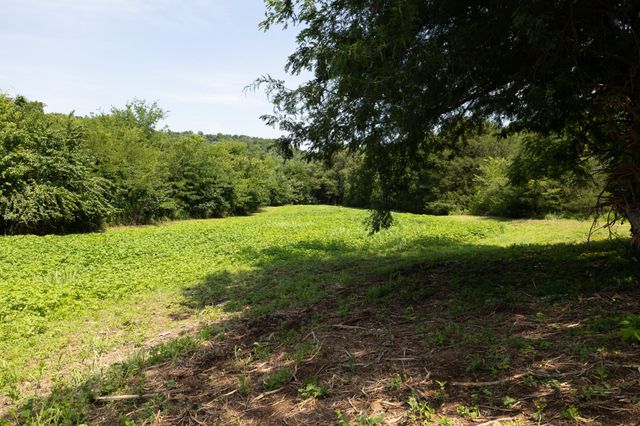 394 Young Hollow Rd, Pulaski, TN 38478