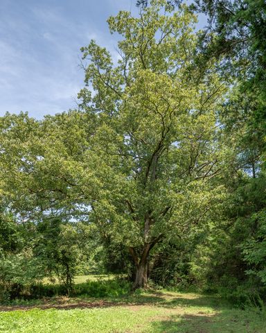 394 Young Hollow Rd, Pulaski, TN 38478