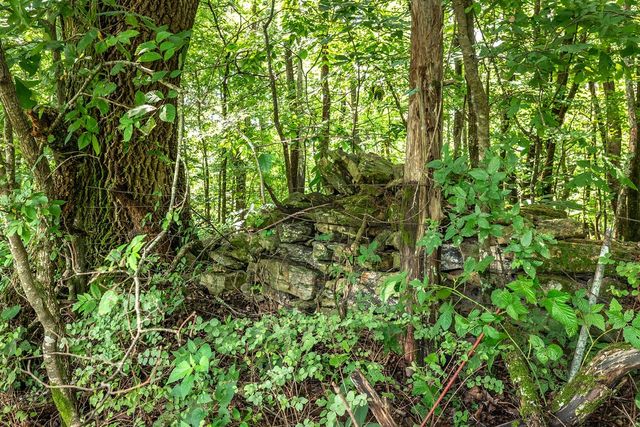 394 Young Hollow Rd, Pulaski, TN 38478