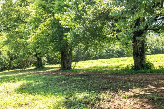 394 Young Hollow Rd, Pulaski, TN 38478
