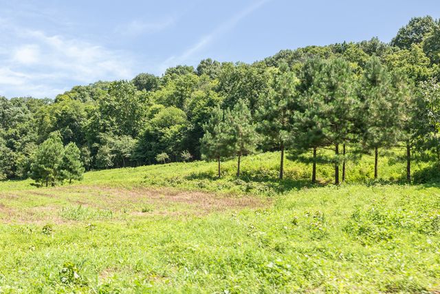 394 Young Hollow Rd, Pulaski, TN 38478