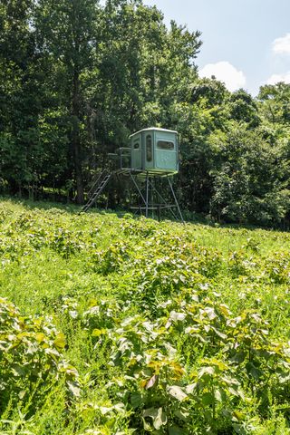 394 Young Hollow Rd, Pulaski, TN 38478