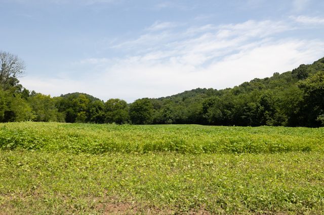 394 Young Hollow Rd, Pulaski, TN 38478