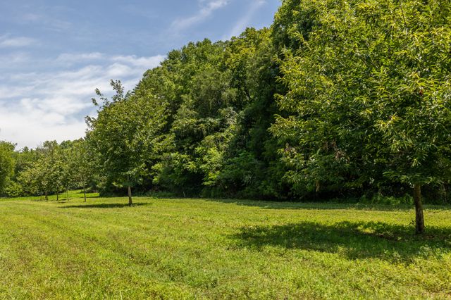 394 Young Hollow Rd, Pulaski, TN 38478