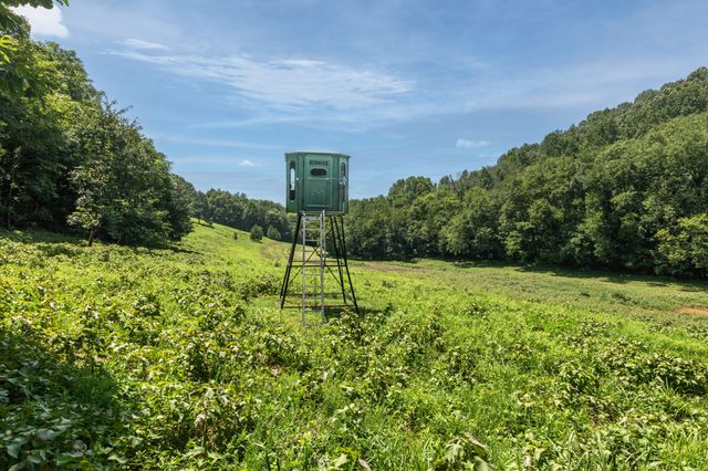 394 Young Hollow Rd, Pulaski, TN 38478