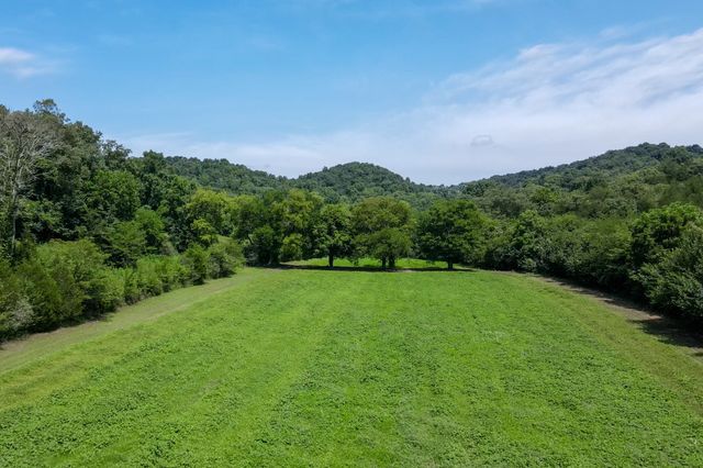 394 Young Hollow Rd, Pulaski, TN 38478